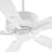 Brasuell 60'' Ceiling Fan-44674159