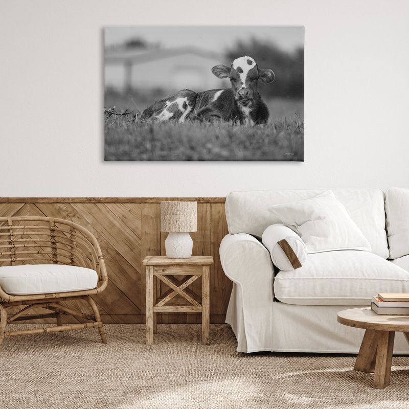 «Resting Cow in Grass» par Dakota Diener, H 20 po x l 30 po