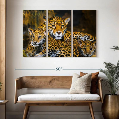Bébé Jaguar