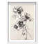 Oliver Gal Pencil Blossom I Floral & Botanical - Luxury Shadowbox Framed Wall Art-836134564-836134569