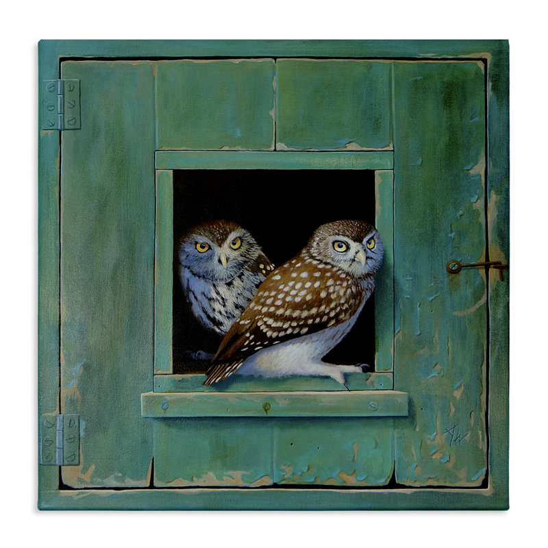 " Spotted Owls Perched Rustic Green Door Ledge " by Alan Weston, 36" H x 36" W x 1.5" D