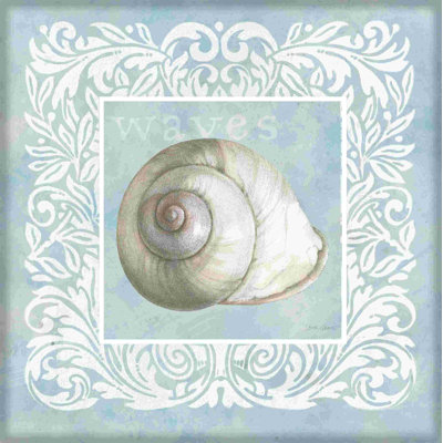 Coquilles de sable bleues sur escargot bleu