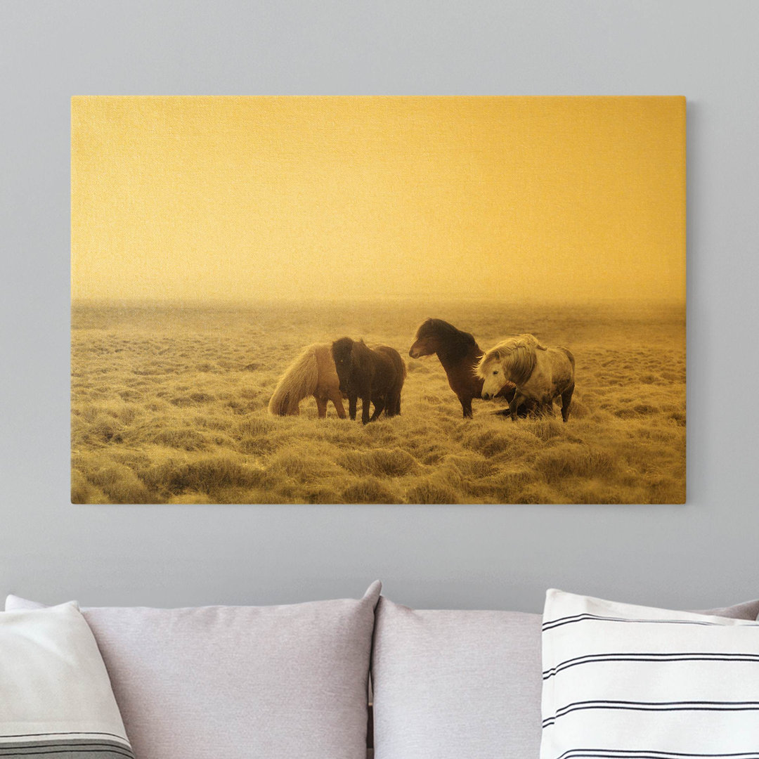 Leinwandbild Icelandic Wild Horses von Monika Strigel