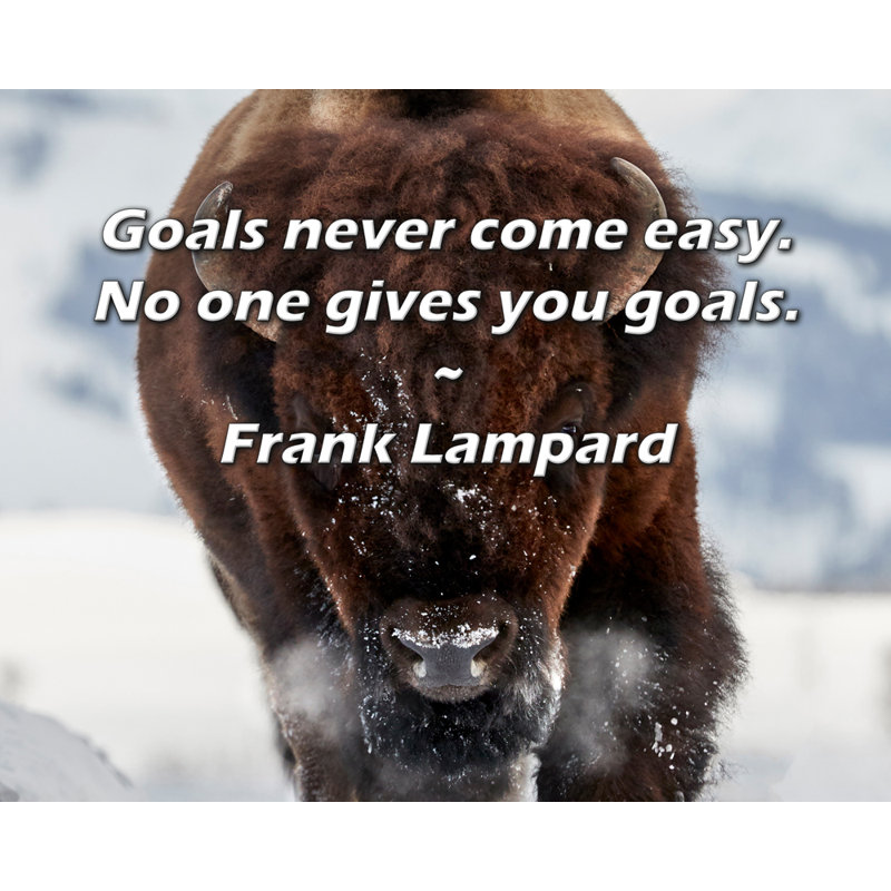 Citation artistique «Les objectifs ne sont jamais faciles. Personne ne vous donne de buts.» Toile tendue par Frank Lampard Gallery