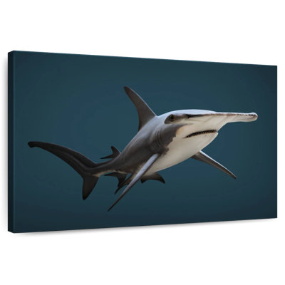 Great Hammerhead Shark