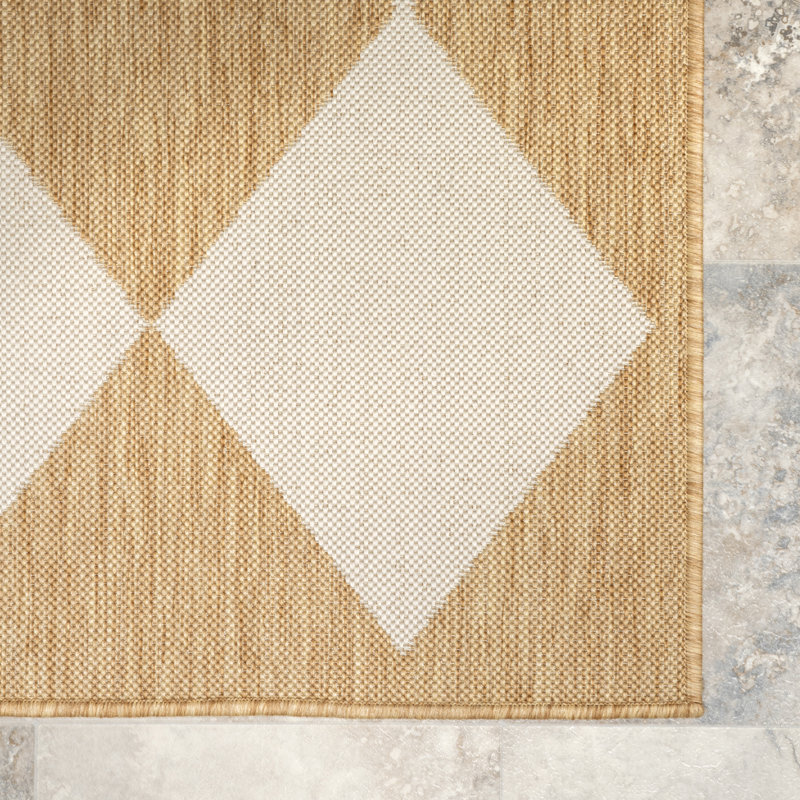 Sabina Diamond Trellis Indoor/Outdoor Area Rug, Rectangle 10' x 14'