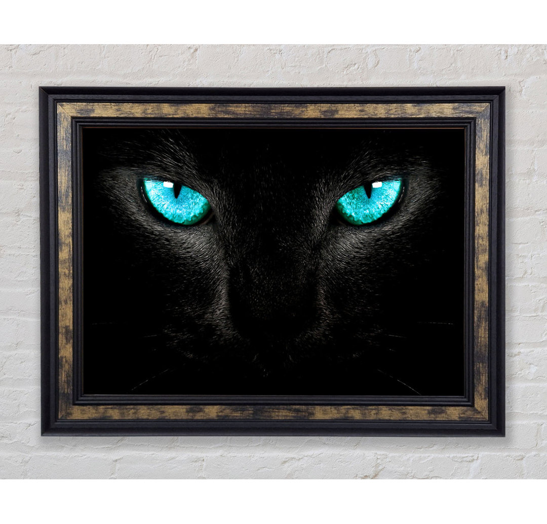 Blue Eyes Cat - Einzelne Bilderrahmen Kunstdrucke