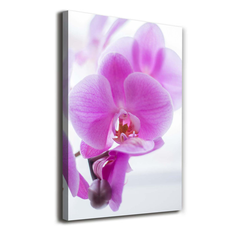 Pink Orchid - Wrapped Canvas Print