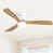 White Body with Yellow Wood Blade