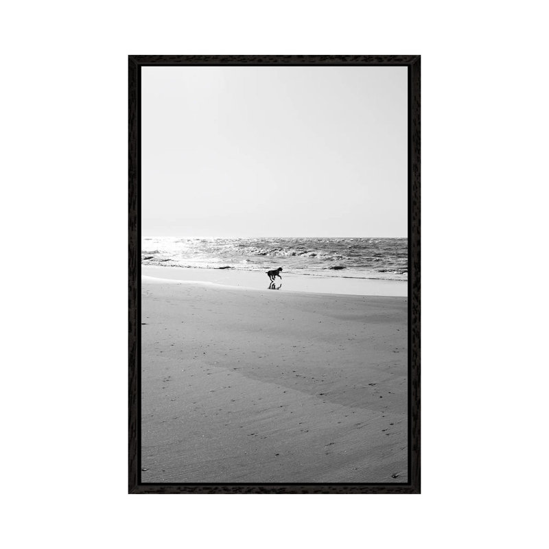 Sullivan's Island IX by Bethany Young - Print on Canvas, 66.04cm H x 45.72cm W x 3.81cm D, Black Framed