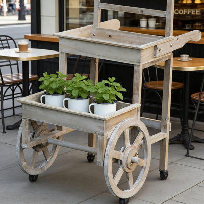 Support pour plante en bois à 2 niveaux avec tableau noir et roues, chariot de présentation d'extérieur pour jardin, porche ou décoration intérieure