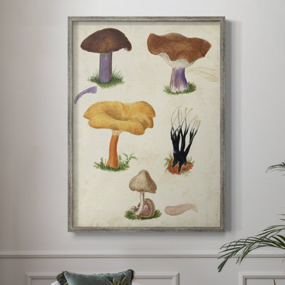 Reproduction encadrée Mushroom Species VII - bois massif