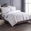 Duvet moyen-18663101