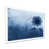 Picture Framed Print