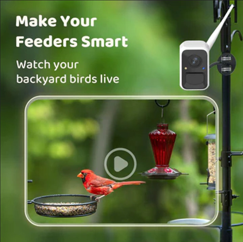 Birdfy Cam with Solar Panel - Smart Bird Camera for Outdoor Birdwatching and Nature Observation, 1080P HD Video, 7-Day Free AI Trial