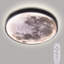 Demario Flush Mounted Ceiling Light-1563779219
