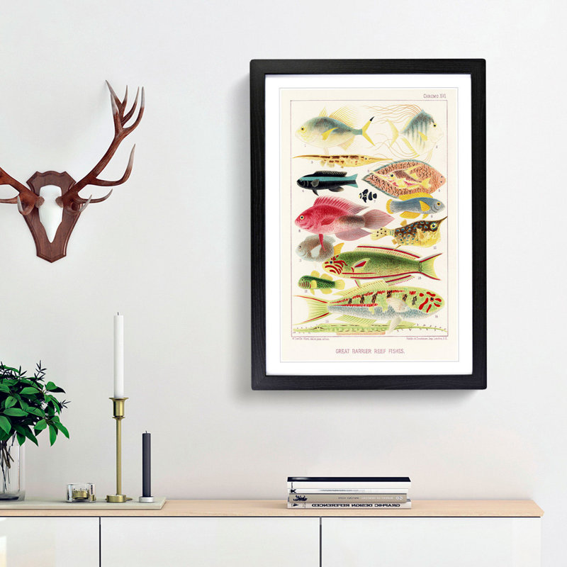 Great Barrier Reef Fishes XVI by W. Saville-Kent - Picture Frame Painting Print, 65cm H x 48cm W x 2cm D, Black Framed