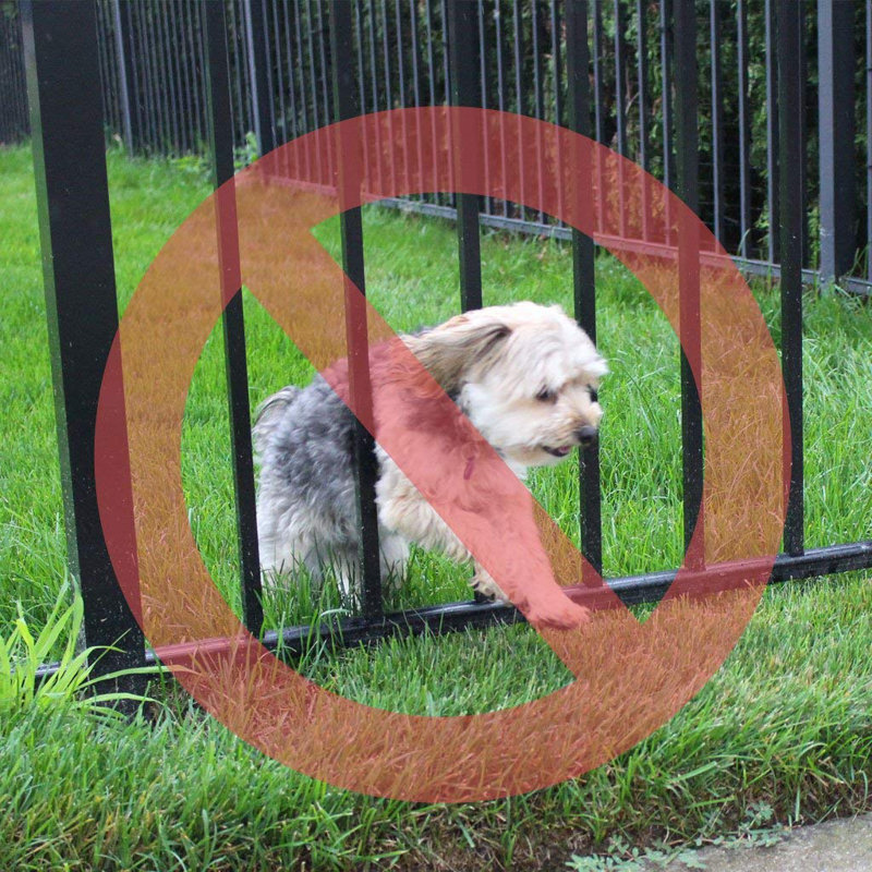 Metal Pet Barrier, 42" H