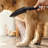 Hansgrohe Dog Shower, 3-Spray, 1.75 GPM-68812312