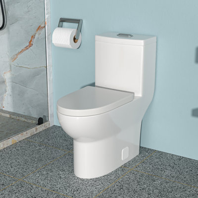 Toilette monobloc en céramique, avec chasse d'eau