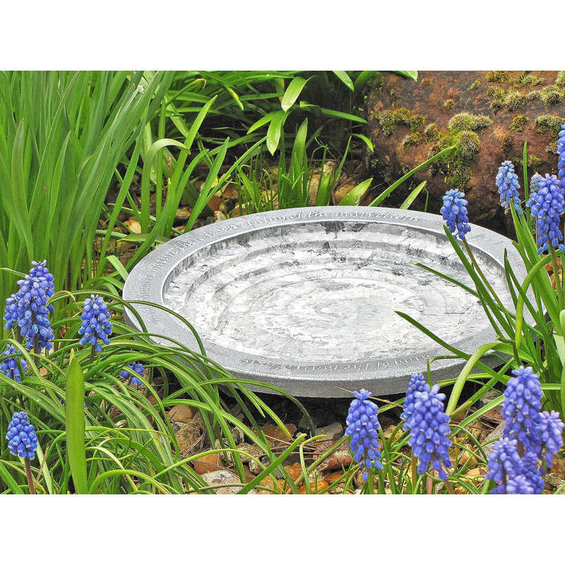 Aymir Single Tier Birdbath