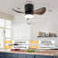 Ceiling Fan with LED Lights