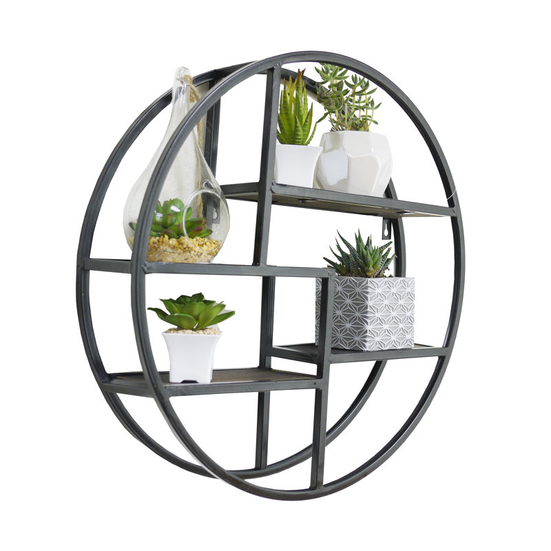 Elsine 6 Piece Circle Floating Shelf