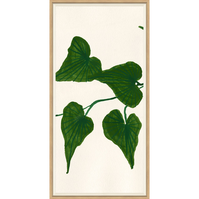 Ivy II Giclee Print by Susan Hable