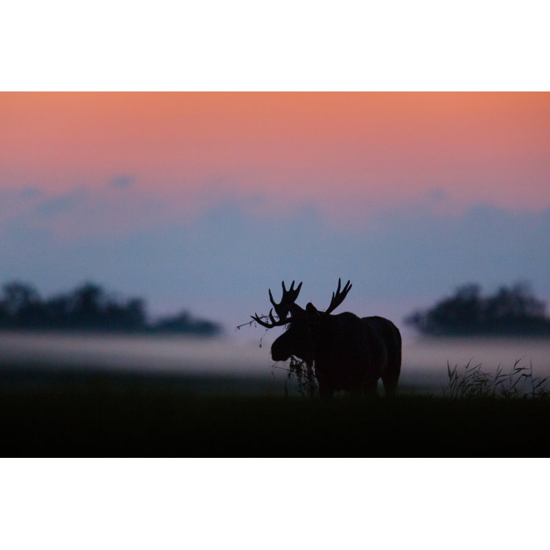 Twilight Hour by Urmas - Wrapped Canvas Print, 30cm H x 46cm W