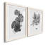 B and W d'intérieur plante III - ensemble de 2 reproductions d'art-1074236538-1090212907-1090214441
