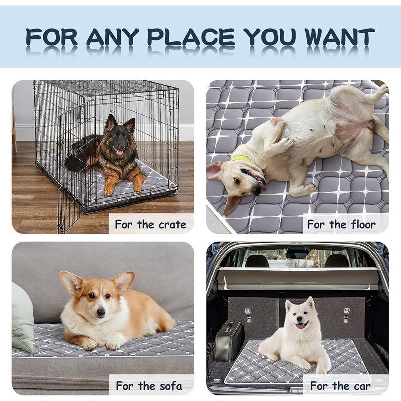 Lit de caisse pour chien ultra-doux - Tapis lavable et antidérapant, de couleur foncée pour la durabilité et le nettoyage facile