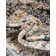 Tapis oriental gris
