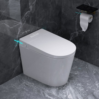 Toilette ronde pour bidet 1,28 GPF avec 23 po Profondeur pour petite salle de bain moderne de 12 po Chauffage et séchage par chasse d'eau brute