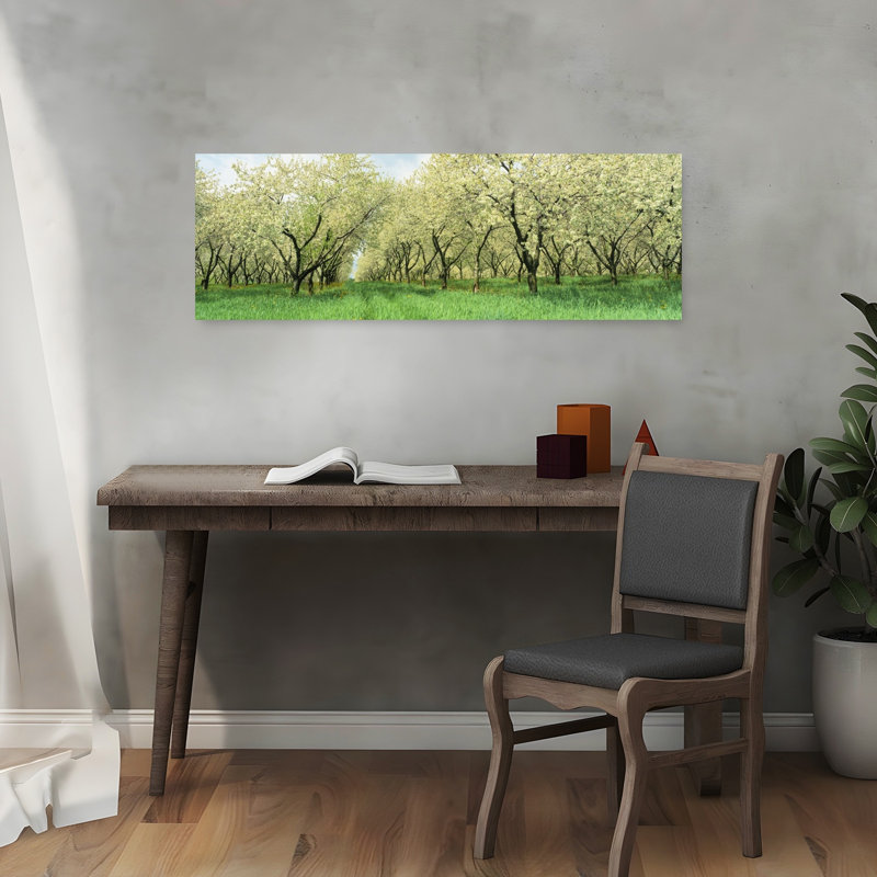 Rows Of Cherry Tress In An Orchard Minnesota USA 1 Piece Wrapped Canvas Panoramic Wall Art, 30.48 cm H x 91.44 cm W