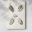 Pastel Knorr Shells III - Cavas enveloppés de galerie-108825283