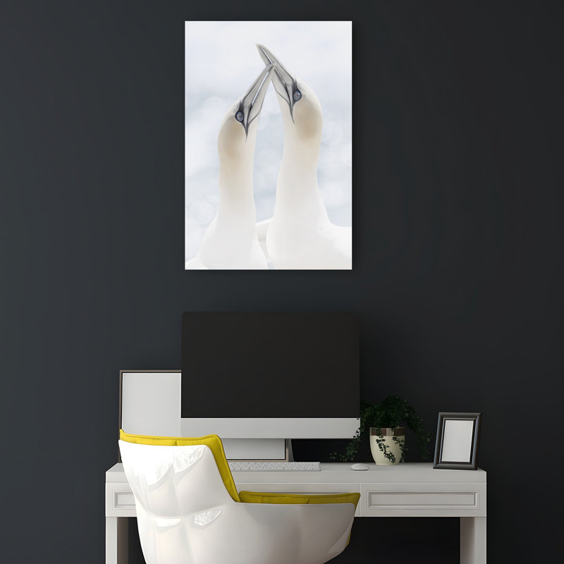 Gentle Gannet Embrace Contemporary Bird Wall Art Print 1 Piece Wrapped Canvas Wall Art, 45.72cm H x 30.48cm W