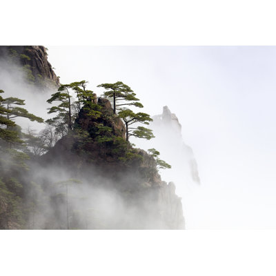 Beauty in Nature by Kingwu