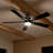Lucian 60'' Ceiling Fan with LED Lights-715556767