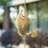 Laven Metal Animals Rain Chain