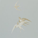 Swallows Wallpaper