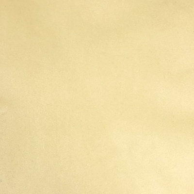 Solid Velvet | Varro Fabric