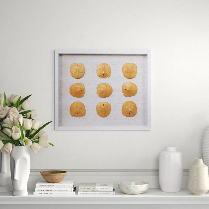 Sealife Print
