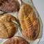 Genuine Cluster Trilobite (Ptychopariida) Fossil On Matrix