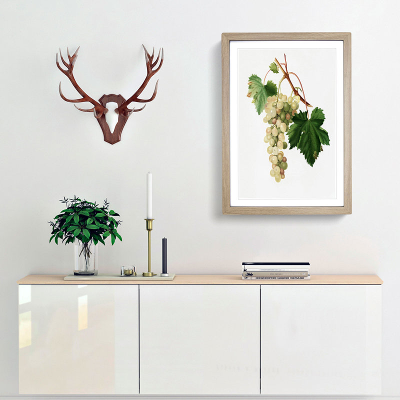 Muscat Grapes by Giorgio Gallesio - Picture Frame Painting Print, 65cm H x 48cm W x 2cm D, Oak Framed