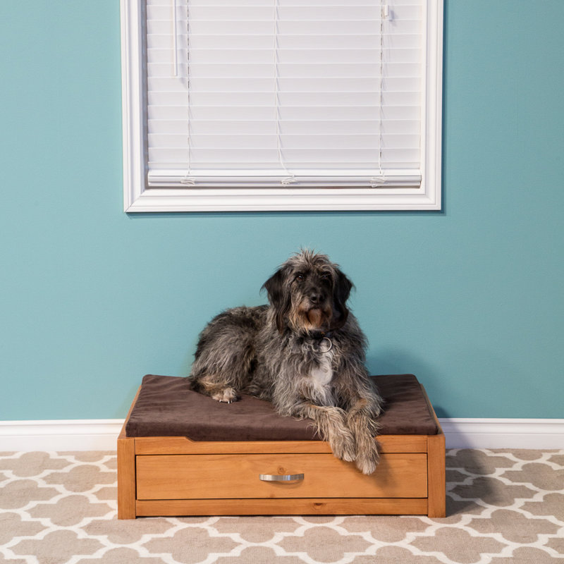 Canapé pour chien Bethune, Brun / brun foncé