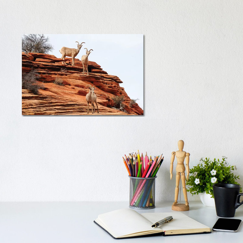 The Trio by Brian Wolf - Wrapped Canvas Print, 20.32cm H x 30.48cm W x 1.91cm D