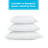 Springer Medium Pillow-830417593