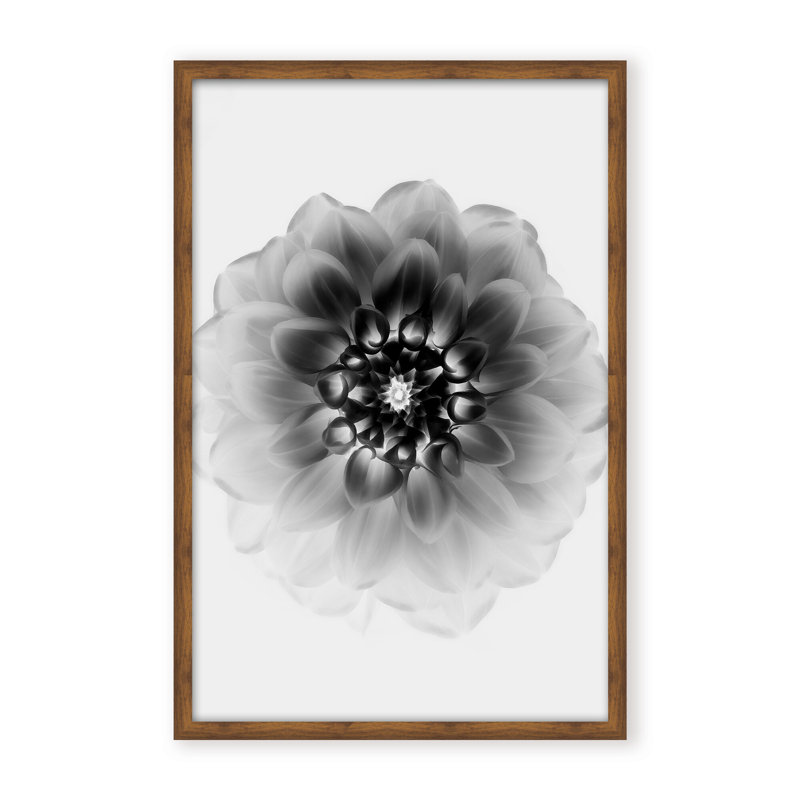 X-Ray Print by Alex Zhao, 36" H x 24" W x 1.125" D, Framed Matted Print, Gold