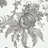 San Cristobal Toile Wallpaper-62659599