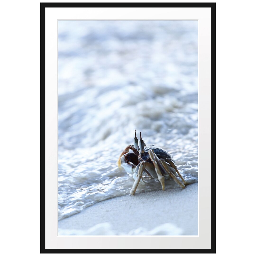 Gerahmtes Poster Kleine Krabbe am Strand